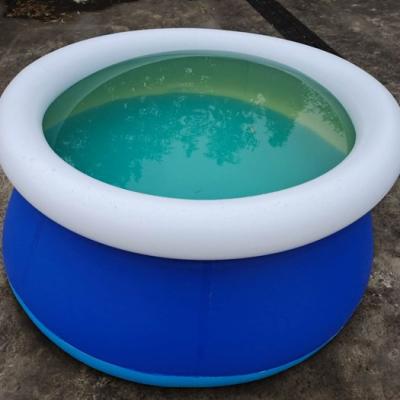 China Ring Round Above Ground Swimming Inflatable Pool Set with Filter Pump and Type 1 Filter Cartridge FP3262 for sale