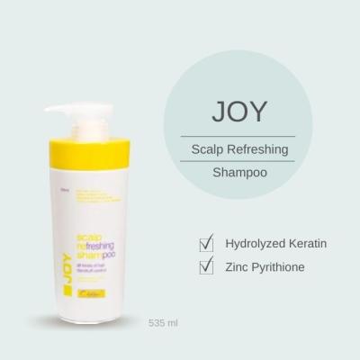 China JOY Scalp Refreshing Shampoo Anti Dandruff Hair Care Shampoo Anti Dandruff Shampoo for sale