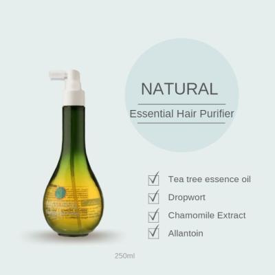 China Anti Dandruff Anti Dandruff Tea Tree Extract Natural Essential Hair Scrubber Natural Hair Care Products for sale