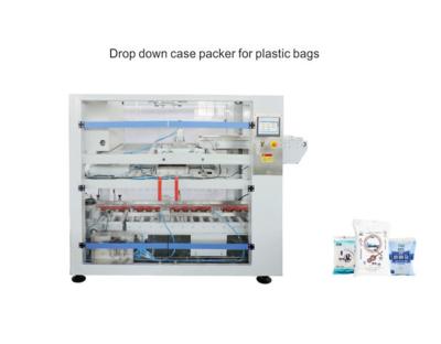 China Full Automatic Food Drop Down Case Packer For Plastic Bags for sale