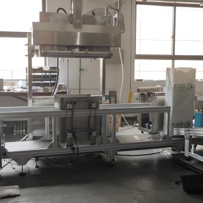 China Full Automatic Food Bag Vacuum Big Packing Machine for sale