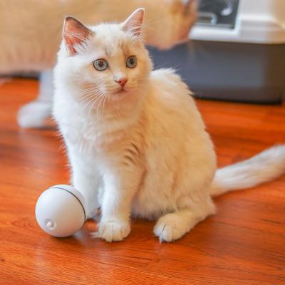 China JXANRY Viable Cat Play Toy Ball Pet Toy Interactive Toys Led Pet Cat Toy Wholesale Luminous Intelligent Electric for sale