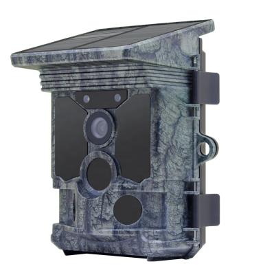 China Weather-resistant Redleaf 20 MP 4k IP66 wildlife wifi video wireless trail hunting camera with solar panel for sale