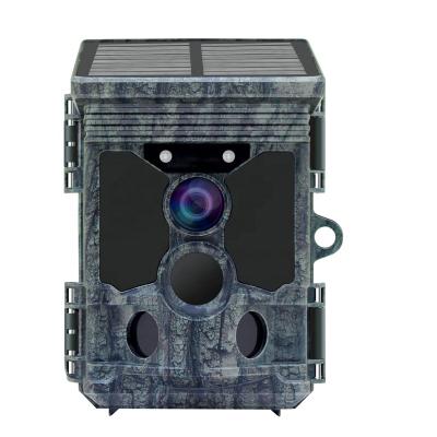 China Weather-resistant 4K FHD Trail Camera Outdoor WiFi Forest Camera Solar Powered Game Hunting Camera for sale