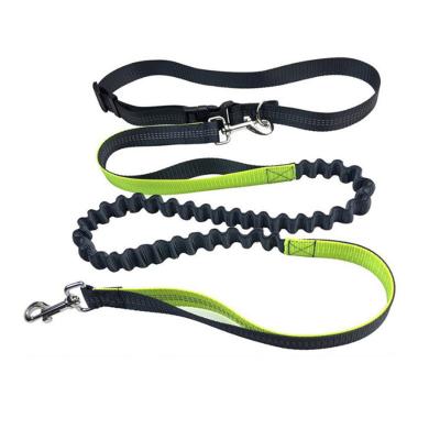 China Lights Pet Leashes Customized Nylon Strong Durable Rope Multicolor Dog Leash for sale