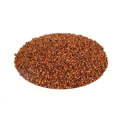 China Original Tartary Bulk Buckwheat Buckwheat Tea Drinks Organic Healthy Weight Loss Tea Drinks Wholesale Tartary Buckwheat for sale