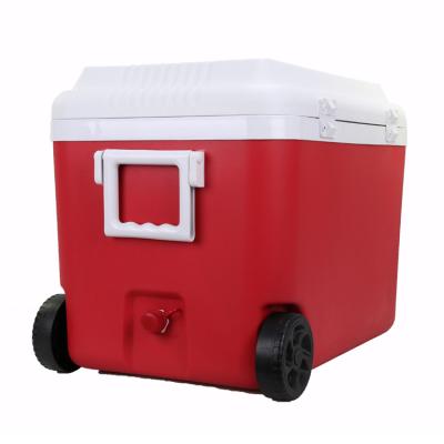 China High Quality Gint 60L Portable Cooler Boxes Handles Insulated Cool Box For Outdoor Camping for sale