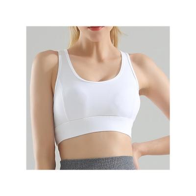 China Factory price anti static cheap crop top bra plus size no wire sports for sale