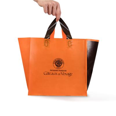 China Recyclable Bag For Cloth Shop Tote Women Handbag Set Custom Plastic Shopping Bags for sale