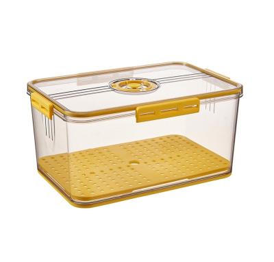 China Freshness Preservation Storage Organization Food Storage Container Lightweight Luxury Home Storage Boxes for sale