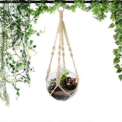 China Eco-Friendly Plant Holder Macrame Plant Hangers , Artificial Home Decor Seashell Plant Hangers for sale