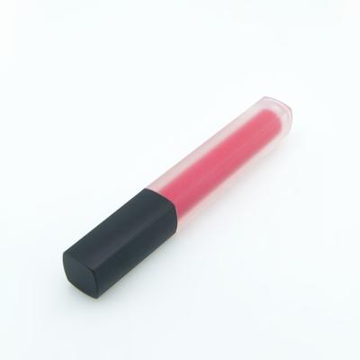 China Hot Selling Cosmetic Makeup Lip Gloss Frosted Lip Gloss With Private Label Black Clear Square Cap Lip Gloss for sale