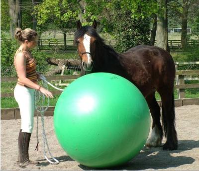 China 100CM(40Inch) Mega Funny Ball Horse Toy.Horse Game Ball.Horse Training Ball. H132 for sale