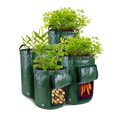 China Grow Bag Plant Wholesale 10 Gallon Vegetable Plant Grow Bag Diy Potato Grow Planter 35*50cm Pe Cloth Tomato Plant Container Bag for sale