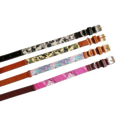 China New Arrival Customized Logo Colorful Dog Collars And Leashes Customized For Large Small Dogs for sale