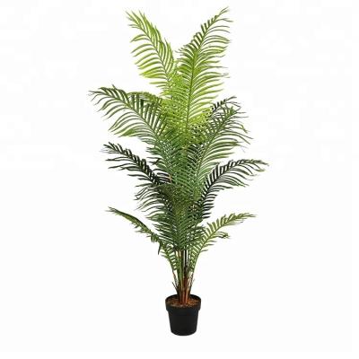 China Hot Sales Realistic Indoor Decoration 2.0m Artificial Hawaii Palm Tree Plant for sale