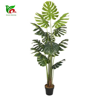 China 1.8m Deliciosa Eco-Friendly Decorative Plastic Home Decor PEVA Artificial Indoor Tree for sale