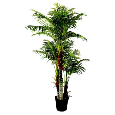 China Artificial Phoenix Ornaments Shooting Decoration Kentia Palm Indoor Fake Palm Tree Plant for sale