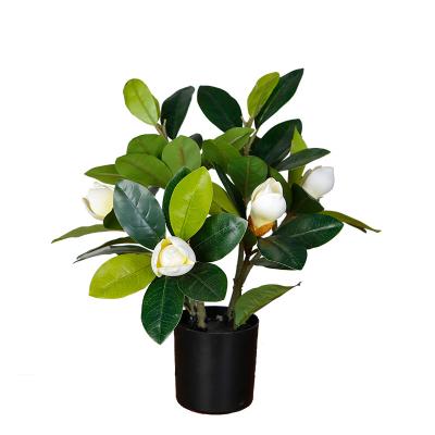 China Indor Decoration 40CM Tropical Fake Bonsai Trees Magnolia Orchid Artificial Plant With White Flower Indoor Decor for sale