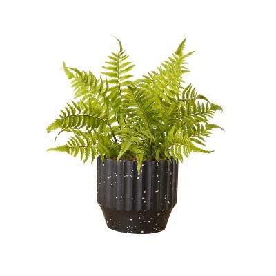 China Indor New Fashion Decoration 39cm High Quality Artificial Fern Plant Fake Bonsai Plants Perfect Housewarming Gift for sale