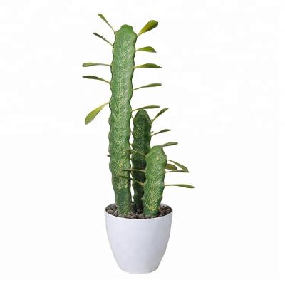 China Indoor High Quality Large Artificial Cactus Home Decoration Decor Fake Cactus for sale