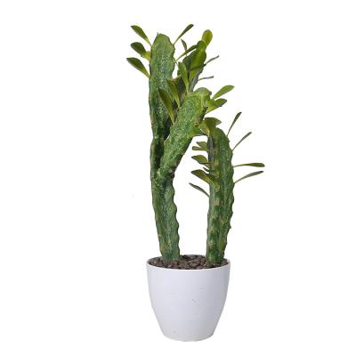 China Indoor decoration factory direct sales grafted mini green cactus garden ornament plastic cactus for sale