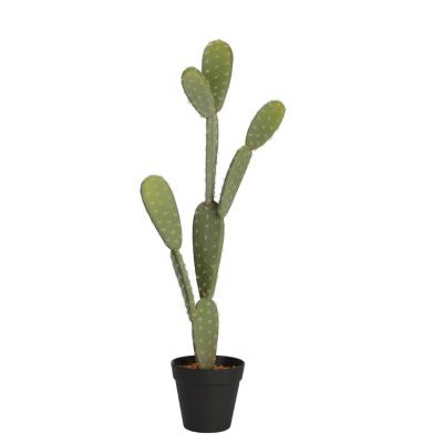 China Decoration Artificial Cactus Plants Large Potted Cactus Plants Hotel Outdoor Party Celebration Gift Decor for sale