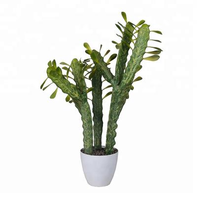 China Indoor Decoration Green With Pot 79cm Artificial Cactus Plant Small Cactus In Pot Quality Artificial Cactus for sale