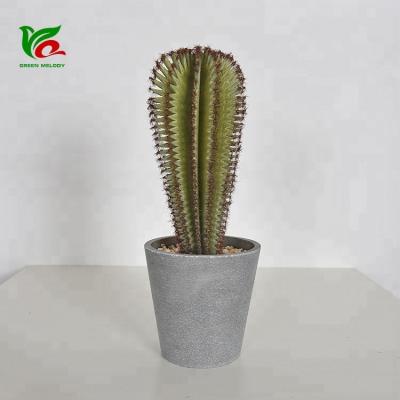 China Areg Design 28cm Faux Cactus Indoor Plastic Home Decor Room Decor Artificial Cactus for sale