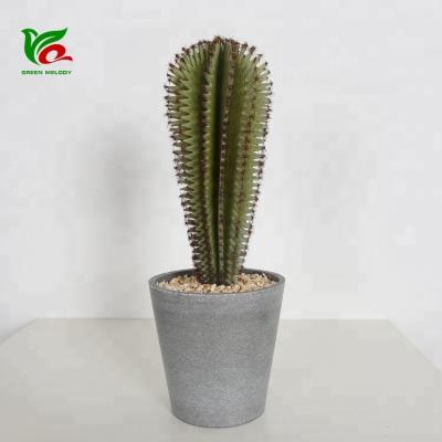 China Design 35cm Indoor Artificial Decorative Cactus Mini Cactus Set Christmas Indoor Decoration Desert for sale