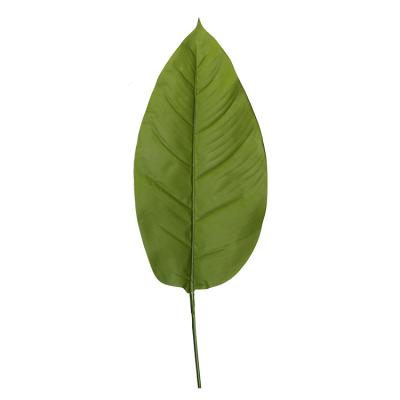 China Indoor Real Touch Faux Plastic Decoration Spathiphyllum Leaf For Office Decoration for sale