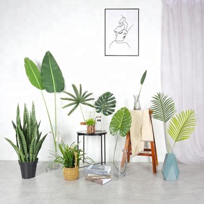 China Plastic Indoor Artificial Fabric Decoration Leaves Ornamental Foliage In Different Kinds And Sizes for sale