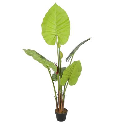 China Alocasia Macrorrhiza tree simulation taro artificial greenery 1.6m taro leaf plant indoor large leaves tree for sale