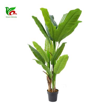 China Classic Home Decor Style Tropical Plants Beautify Indoor Plants Artificial Musa Basjoo Banana Tree for sale