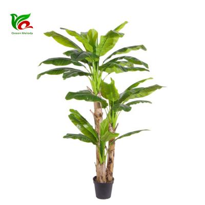 China Vivid Color And Realistic Touch Artificial Musa Basjoo Banana Tree Of Bonsai Home Decor Decoration for sale