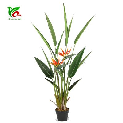 China Indoor Vivid Imitation Bonsai Fake Ornament Plastic Strelitzia Reginae Tree PEVA 1.4m for sale