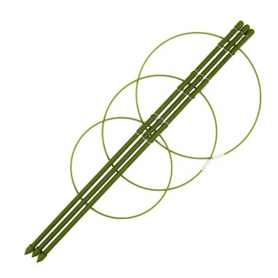 China Metal Plastic Pe Coated Garden Stake Ring Tomato Cage Plant Garden Worker Flower Support For Growing Plants for sale