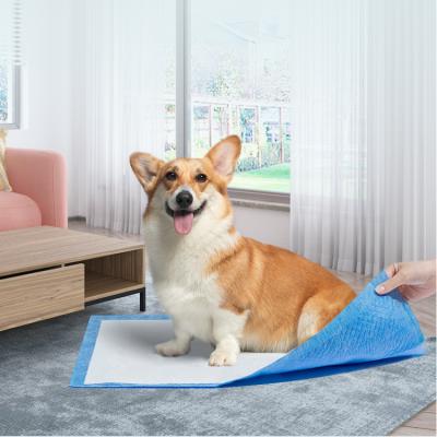 China Small Animals Pad Non Grade Super Absorbent Woven Fabric Urine Dog Pee Pad Disposable Puppy Pet Dog Training Pads for sale