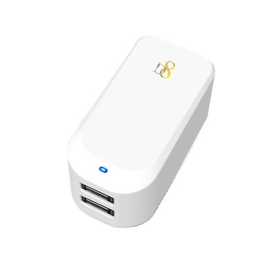 China Convenience High-end Technology White Fast Charging Usb Manufacture Portable Dual Port Charger for sale