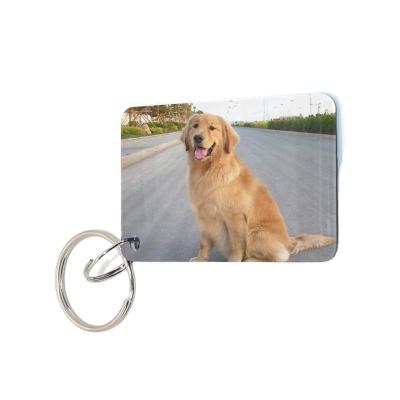 China Customized fashion design rfid waterproof/waterproof micro rfid tag pets tag tags nfc epoxy tags for sale