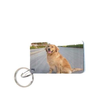 China Customized fashion design rfid tag waterproof/waterproof micro rfid pets tag tags nfc epoxy tags for sale