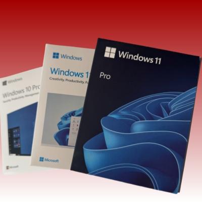 Cina Facile installazione Windows 11 Pro USB Inglese USB Bundle Windows 11 Licenza digitale in vendita