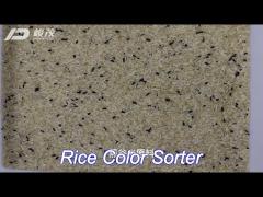 64 channels rice color sorter from china sorting machine for rice mill