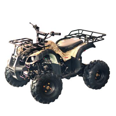 China Cheap Chain Drive Transmission System Displacement 125cc ATV For Sale 125cc ATV for sale