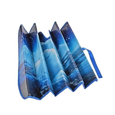 China Promotion PE Double Bubble Foldable Auto Car Sunshade Keep Car Cool for sale