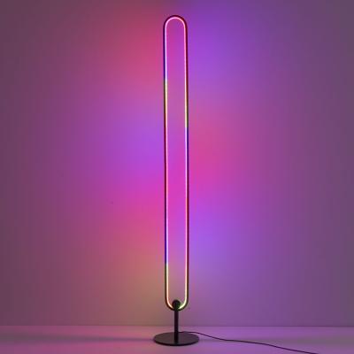 China Modern Luxury Led RGB Floor Lamp Remote Control Floor Lamps Rechargeable Modern Floor Lamp for sale