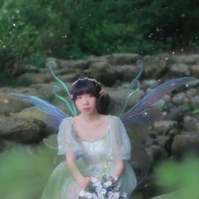 China Fairy Wings Model Back Flower Fairy Photography Modeling Props Fairy Wings for sale