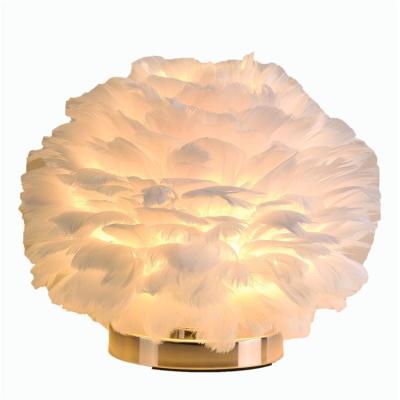 China Creative Nordic American bed head bedroom floor lamp living room feather table lamp for sale