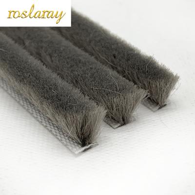 China Door Factory High End Quality Insect Repellent Brushes for Window Door and Wardrobe Sliding Door Silicified Sealing Strip for sale