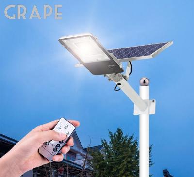 China Tempered Glass Solar Street Light Price, 12V LED 8M Street Light to 80W LED Solar Street Light for sale